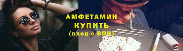 ПСИЛОЦИБИНОВЫЕ ГРИБЫ Арсеньев